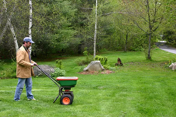 Dependable Lawn Fertilization in Mission Viejo, CA