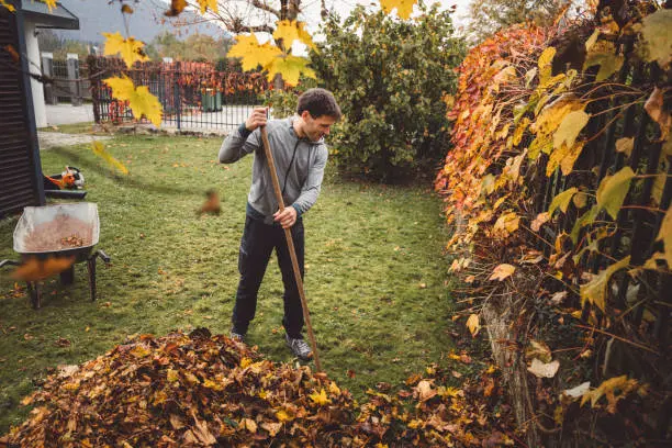 How To Clean A Backyard Mission Viejo, CA