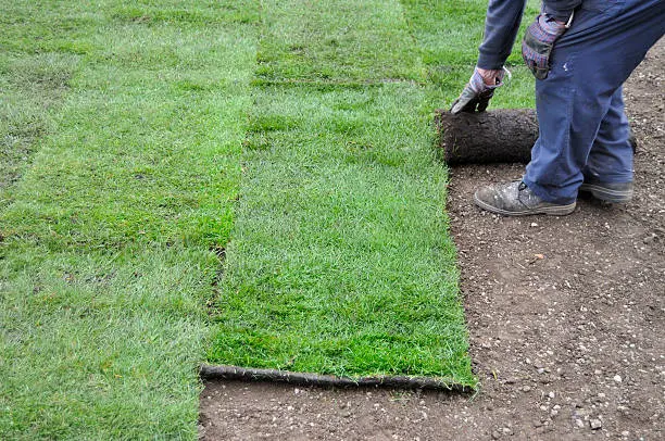 How long after installing sod can you walk on it in Mission Viejo, CA