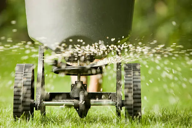 How often should you fertilize your lawn Mission Viejo, CA