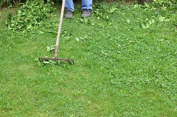 How to clear a yard full of weeds Mission Viejo, CA