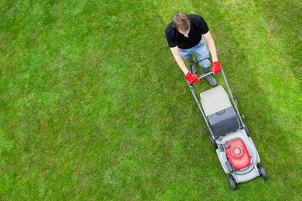 How to mow a lawn in Mission Viejo, CA