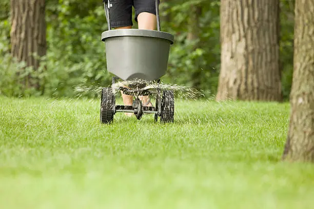 Lawn Fertilization in Mission Viejo, CA