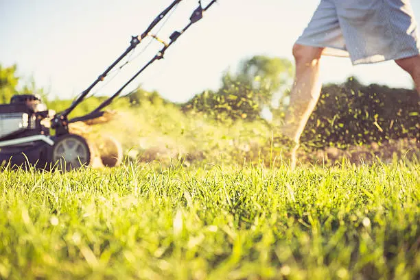 Lawn Mowing in Mission Viejo, CA