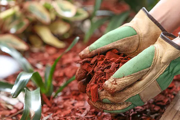 Mulching Mission Viejo, CA