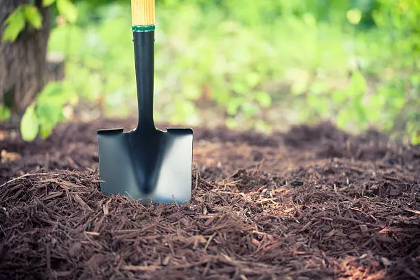 Mulching in Mission Viejo, CA