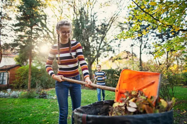 Reliable Yard Cleanup in Mission Viejo, CA