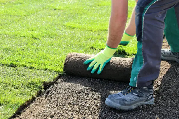 Sod Installation Mission Viejo, CA