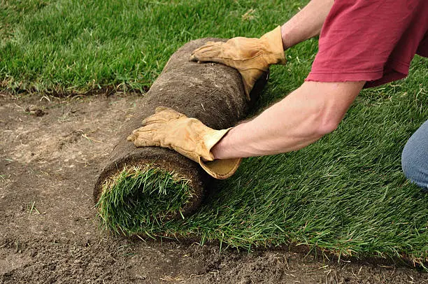 Sod Installation in Mission Viejo, CA