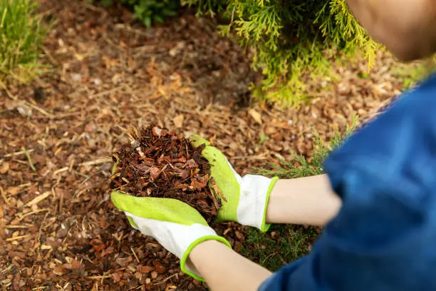 What does mulch do in Mission Viejo, CA