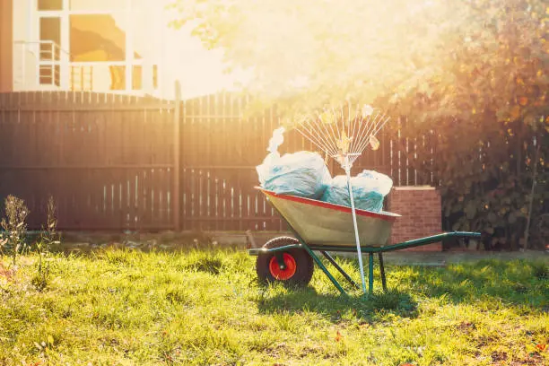 Yard Cleanup in Mission Viejo, CA